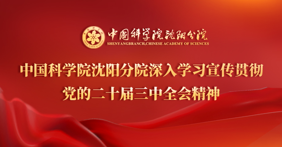 專題：深入學習宣傳貫徹黨的二十屆三中全會精神